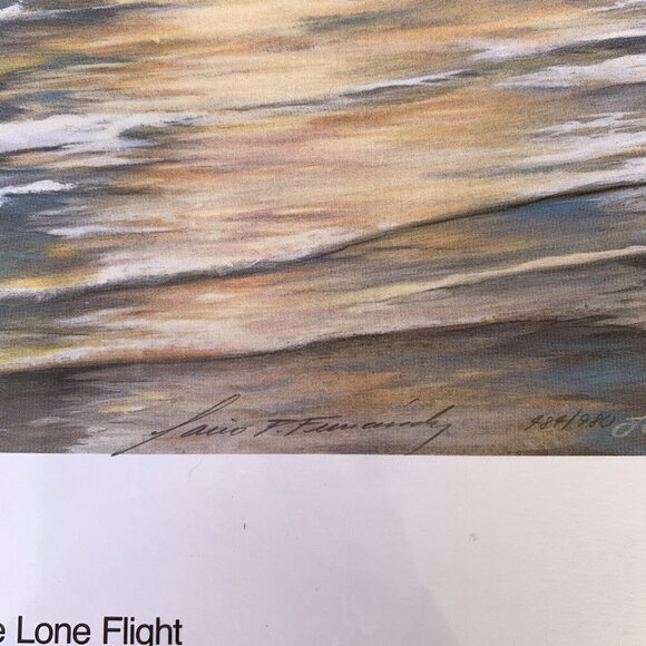SIGNED Vintage Print: The Lone Flight by Mario Fernandez Seagull Limited Edition - Picture 4 of 11